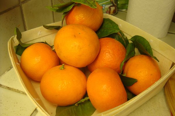 000 salade mandarines (1)
