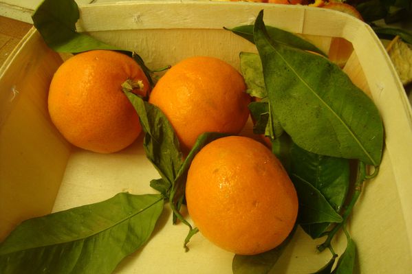 000 salade mandarines (5)