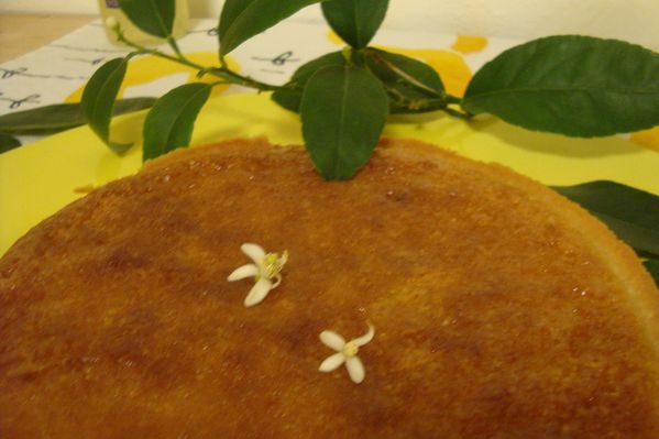 000 tarte amandes citron (20)