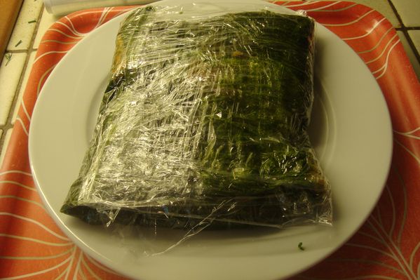 000 gravlax 20 mai (13)