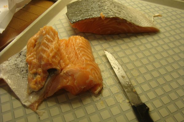 000 gravlax 20 mai (22)
