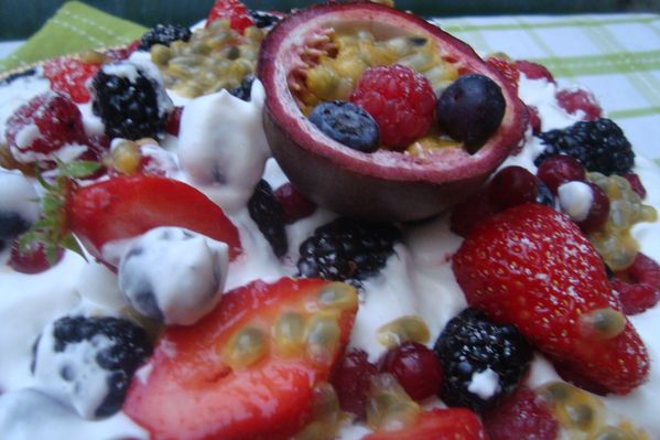 000 pavlova 19 mai (12)