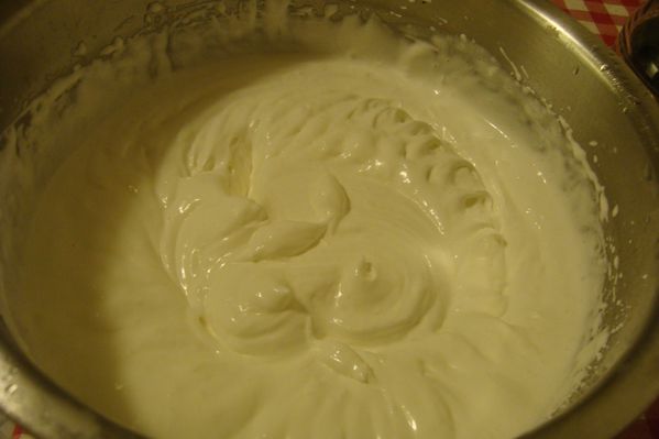 000 pavlova 19 mai (7)