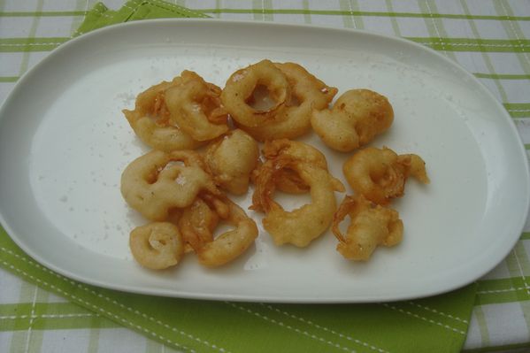 0000 oignons rings (5)