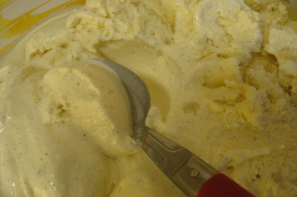 000 crème glacée vanille (5)