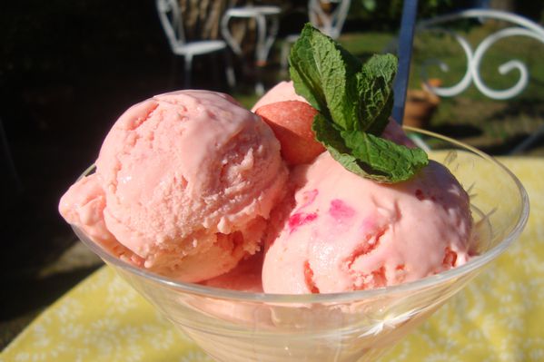 000 glace fraise tagada (11)