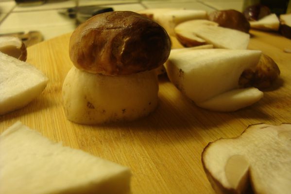 000 socca cepes encornets 17 10 12 (3)