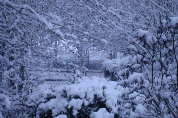 0000000000snow 003