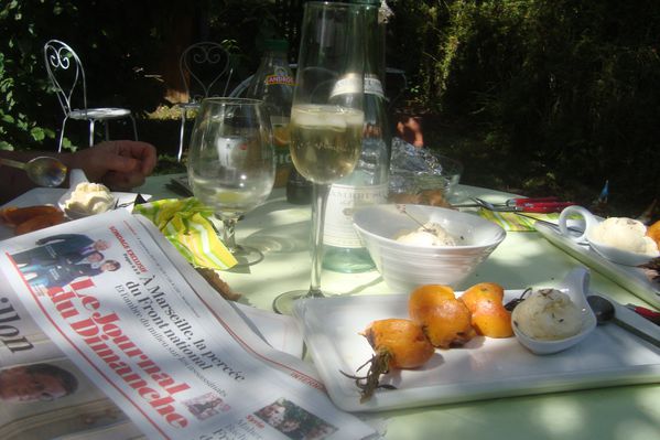 xchette d'abriots au romarin sur bbq (14)