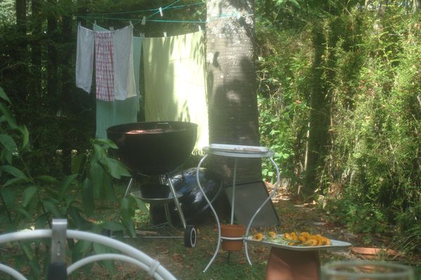 brochette d'abriots au romarin sur bbq (22)
