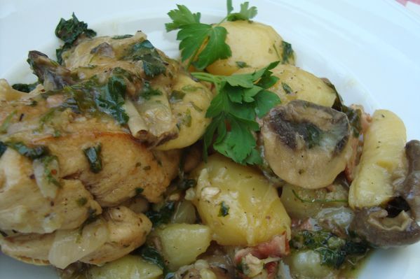 00000fricassée poulet harbes 2