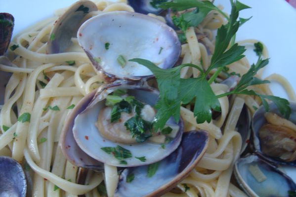 00000000000linguine vongole 2