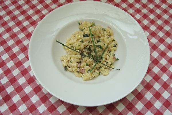risotto coquilletes 2