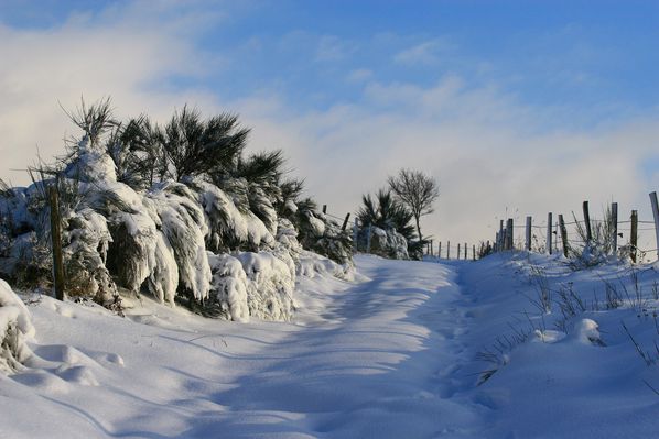 neige-1er-decembre-2012 7588