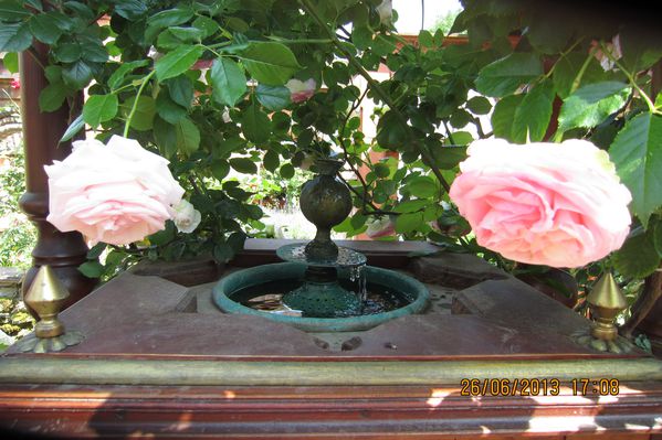 une-petite-fontaine-bien-mysterieuse-sous-son-rosier.jpg