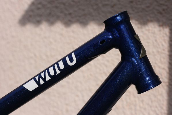 Wuuu-2012-test-peinture-bleu 7041