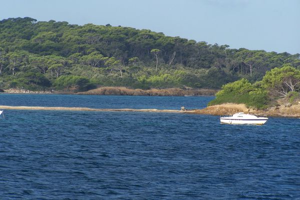 porquerolles-7-Oct-10-007.JPG