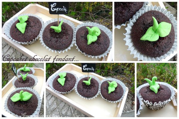 Cupcake-chocolat-fondant-comme-des-plantes-vertes.jpg