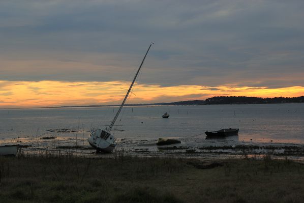 31-decembre-2012 3197