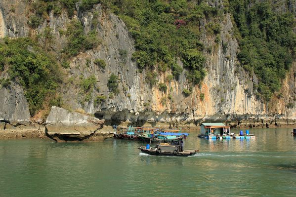 Halong Bay D1 (6)