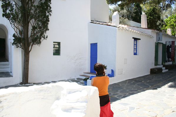 DALI 2011 422