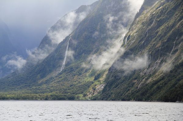 Milford-Sound 2434 (800x533)