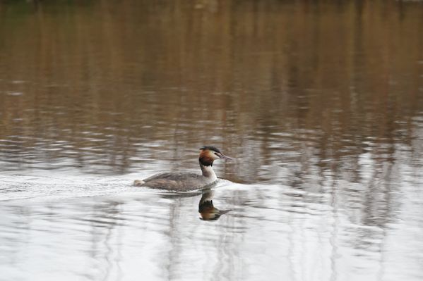 7IMAE_4456_DxO.jpg