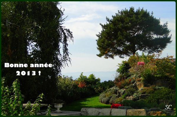 Voeux 2013