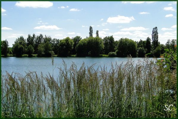 Etang de Roye-17