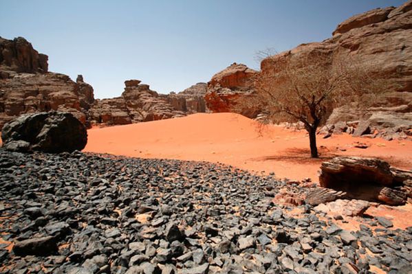 Sahara-Algerien.jpg