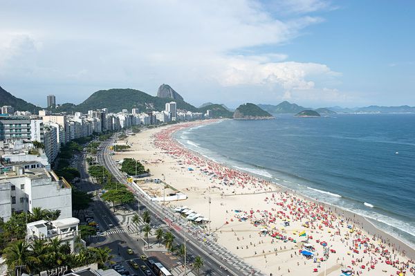 Hello Monkey - Rio de Janeiro Beach