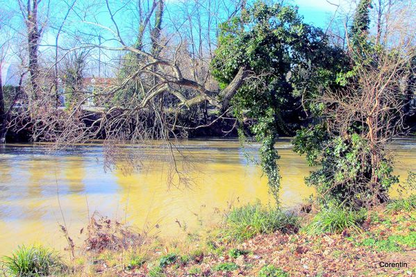 Pz21---Bord-de-Garonne.JPG