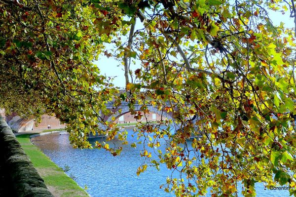 V02---Garonne.JPG