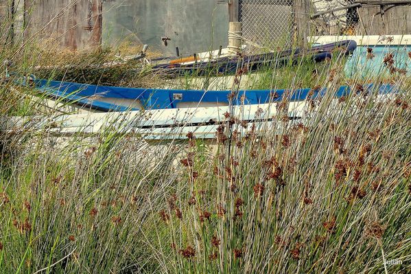 R01 - Barques cachées