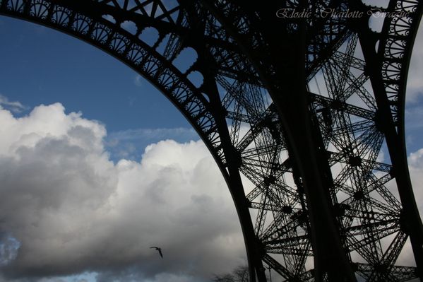 Paris dans mon oeil 1