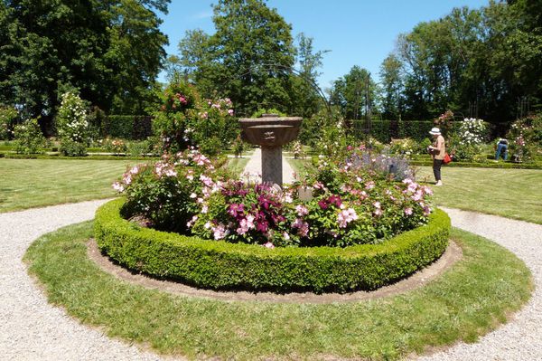 journées de la rose chaalis - juin 2014 - la roseraie 4