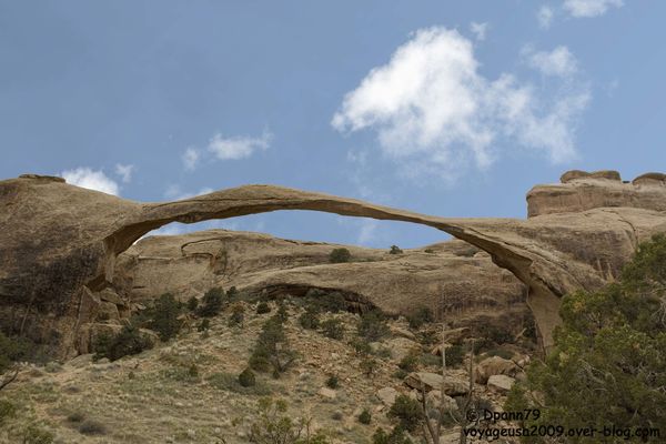 Arches - 04