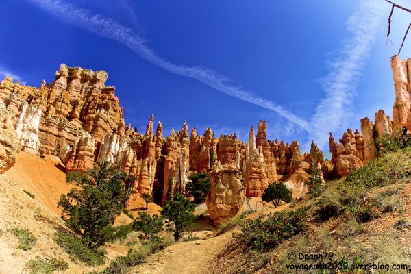Bryce Canyon - 08