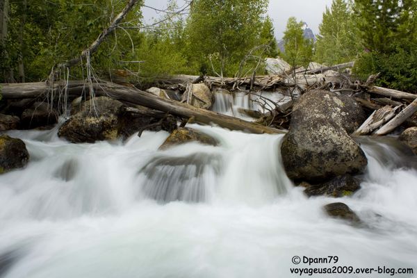 Grand Teton - 04