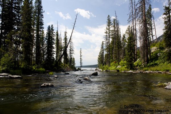 Grand Teton - 08