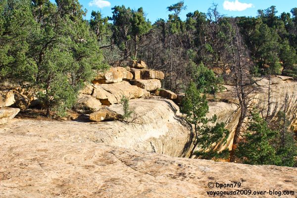 Mesa Verde - 05