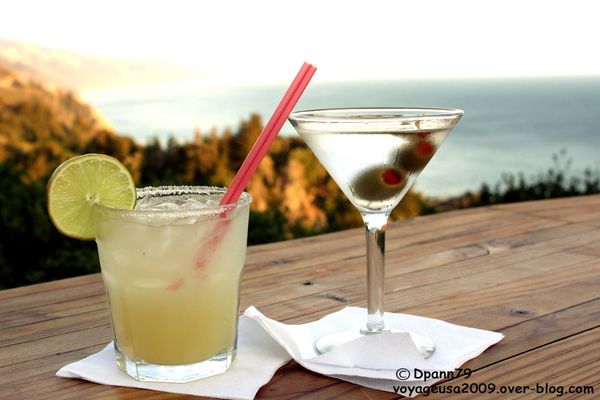 Pfeiffer Big Sur - 02