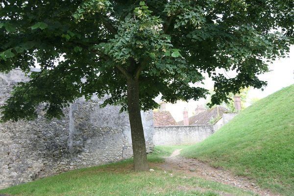 IMG 0356