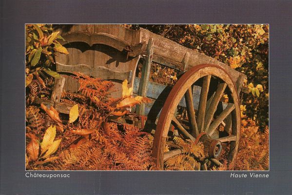 Carte postale Automne