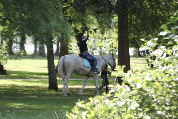 BLOG-CHEVAL-VERGNES-004.JPG