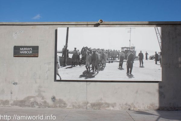 Robben-Island 0359