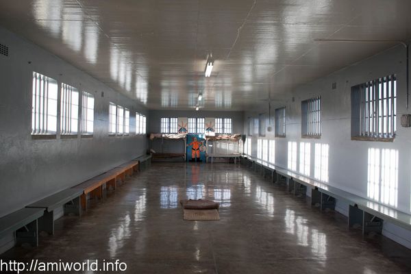 Robben-Island 0402