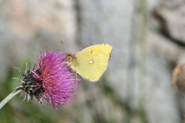 Octobre-2009_3304.jpg