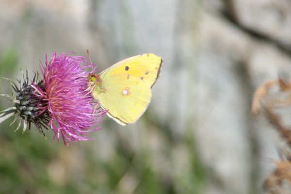 Octobre-2009_3366.jpg