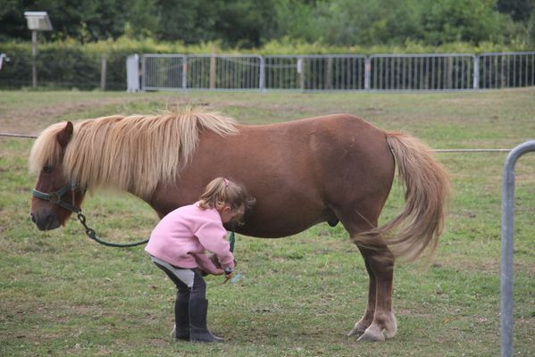 Fete-du-cheval-18-08-13 4443